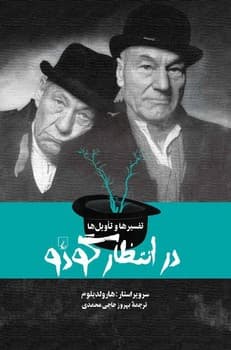 تفسیرها و تأویل‌ها در انتظار گودو