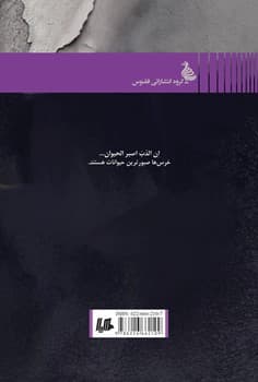 شب به خرس